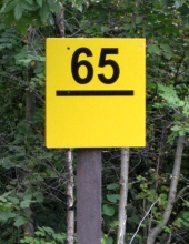 65MP near Connel Ferry
